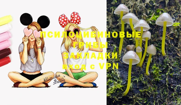 гашик Магадан